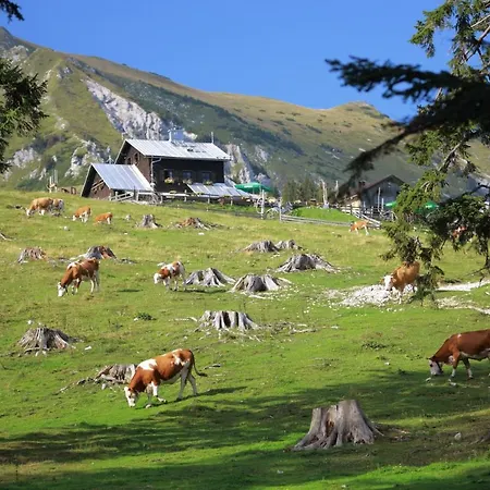 Glamping Mountain Fairy Tale 度假居