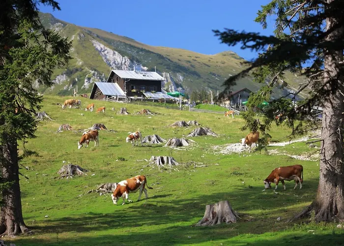 Glamping Mountain Fairy Tale Vakantiehuis